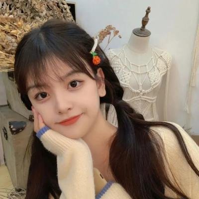 红发少女安妮